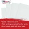 20 X 24 Inch Professional Art Canvas Board Panels 4 Pack - 8 Ounce Heavyweight Cotton Acid Free Canvases for Painting Acrylics and Watercolor (1 Case of 4 Single Canvas Painting Panels)